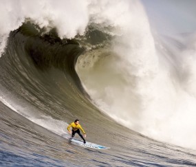 开云体育下载-世界排名争夺战之夜，若日尼奥点燃赛场