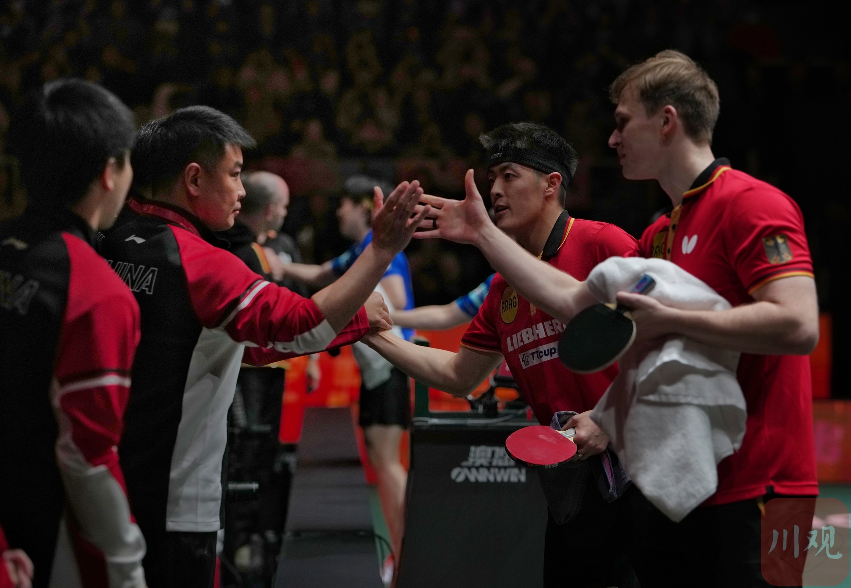 中国队碾压德国队，王皓状态火热