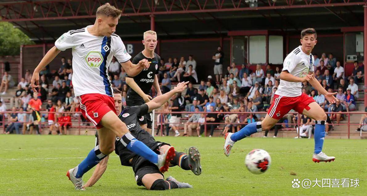 汉堡队陷入危机,球迷担忧不已 汉堡队陷入危机,球迷担忧不已