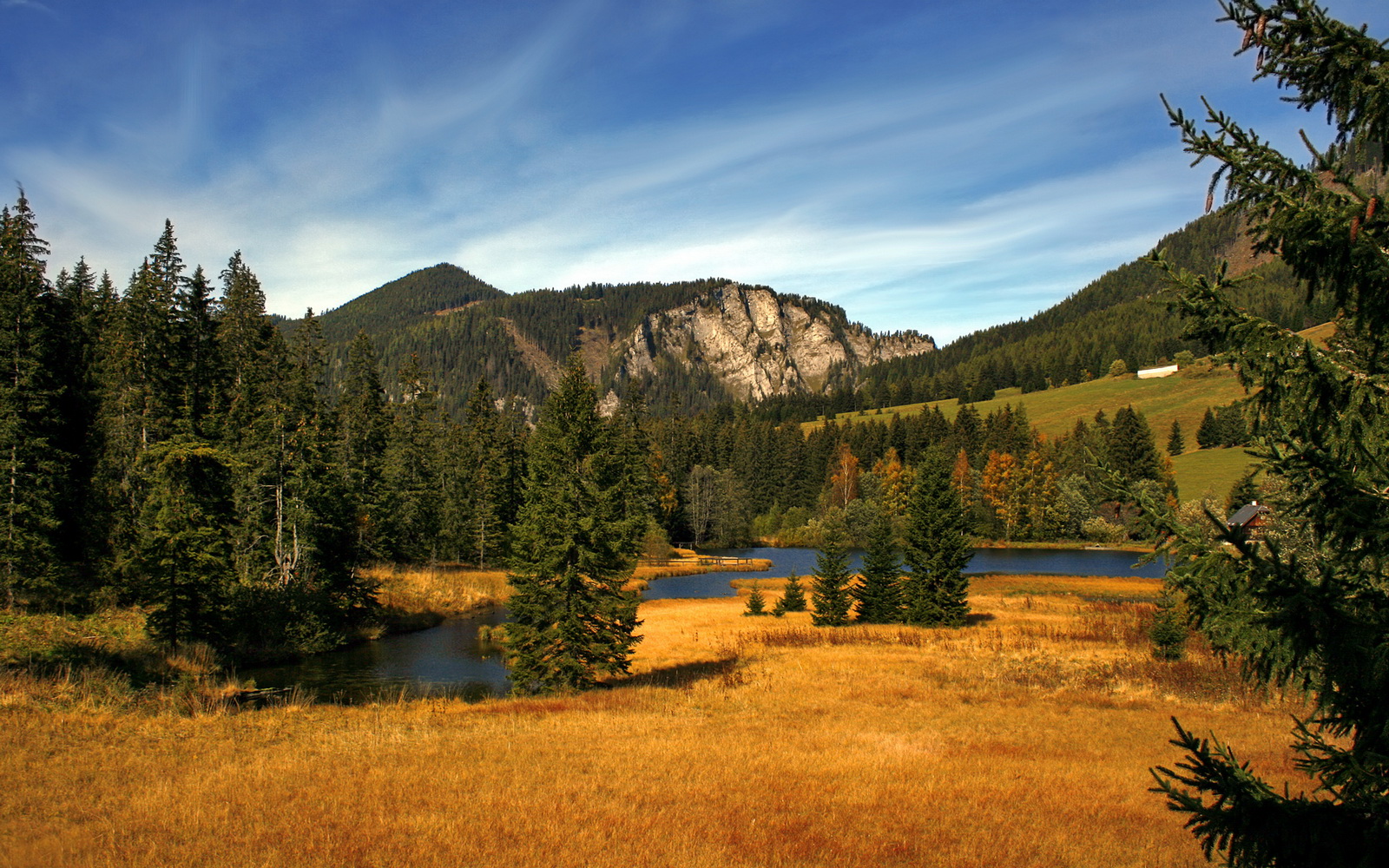奥纳纳神扑难救主，对手无解破门终结英超争冠悬念